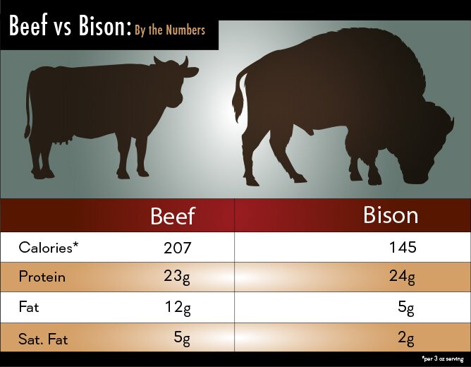 beef-vs-bison